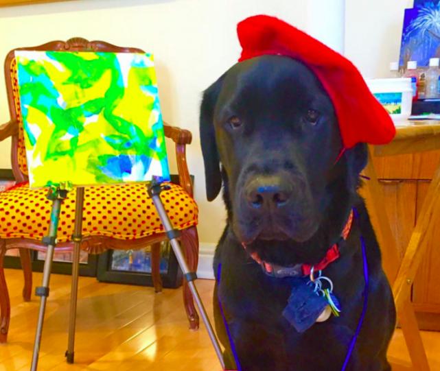 美狗狗艺术天分超群,被称“狗芬奇”将办画展,画作筹款140万