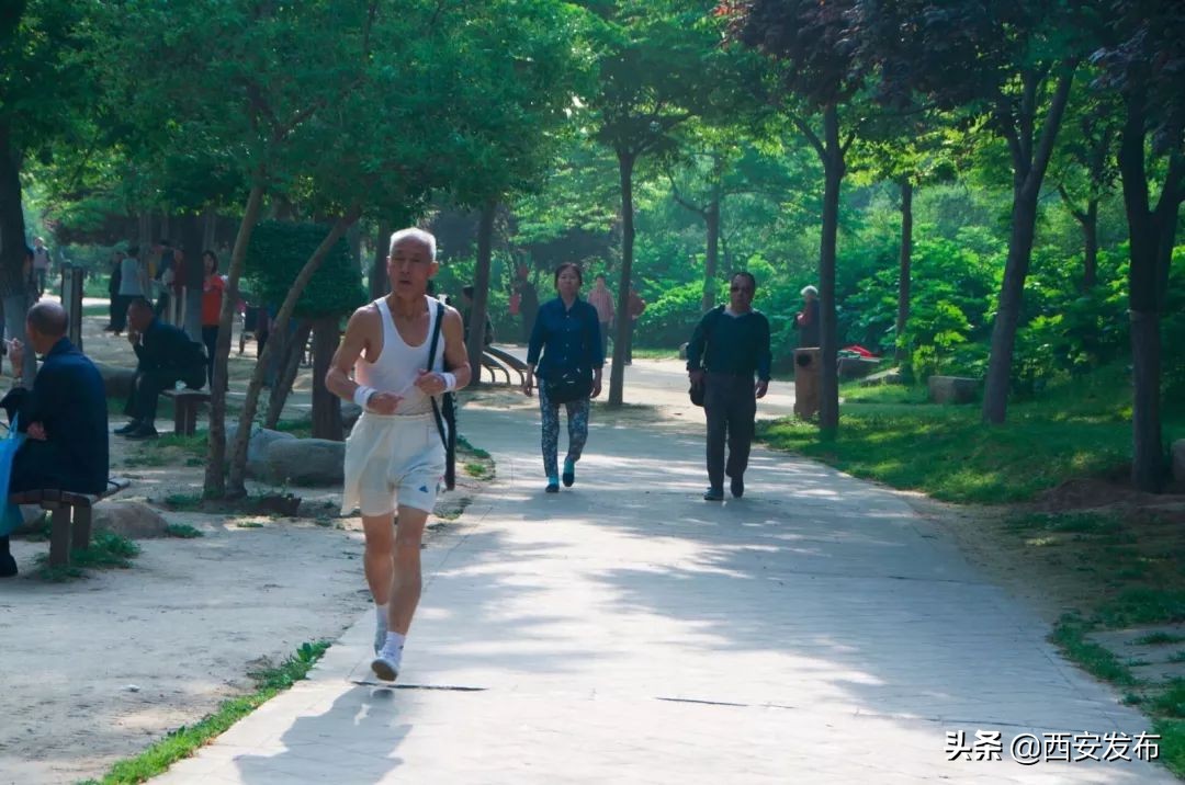 西安发布头条新闻,西安发布的最新消息