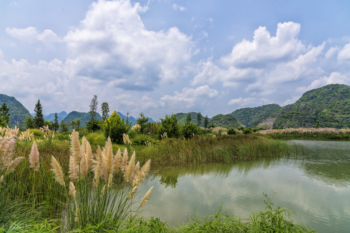 深圳5a景区门票免费,河南省5a景区免门票