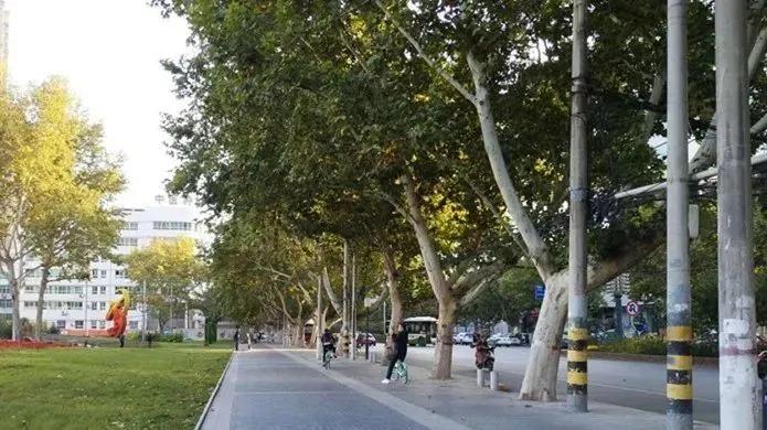 7.64万㎡，1200个停车位！新咸阳体育场来了！