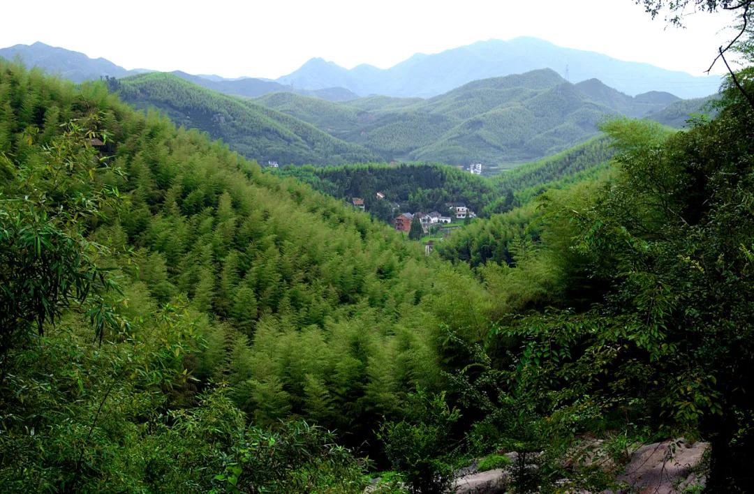 峡谷漂流推荐一个避暑圣地,金丝峡漂流和溶洞漂流哪个好玩