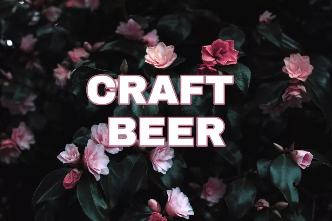 轩博精酿啤酒,精酿啤酒和果味啤酒