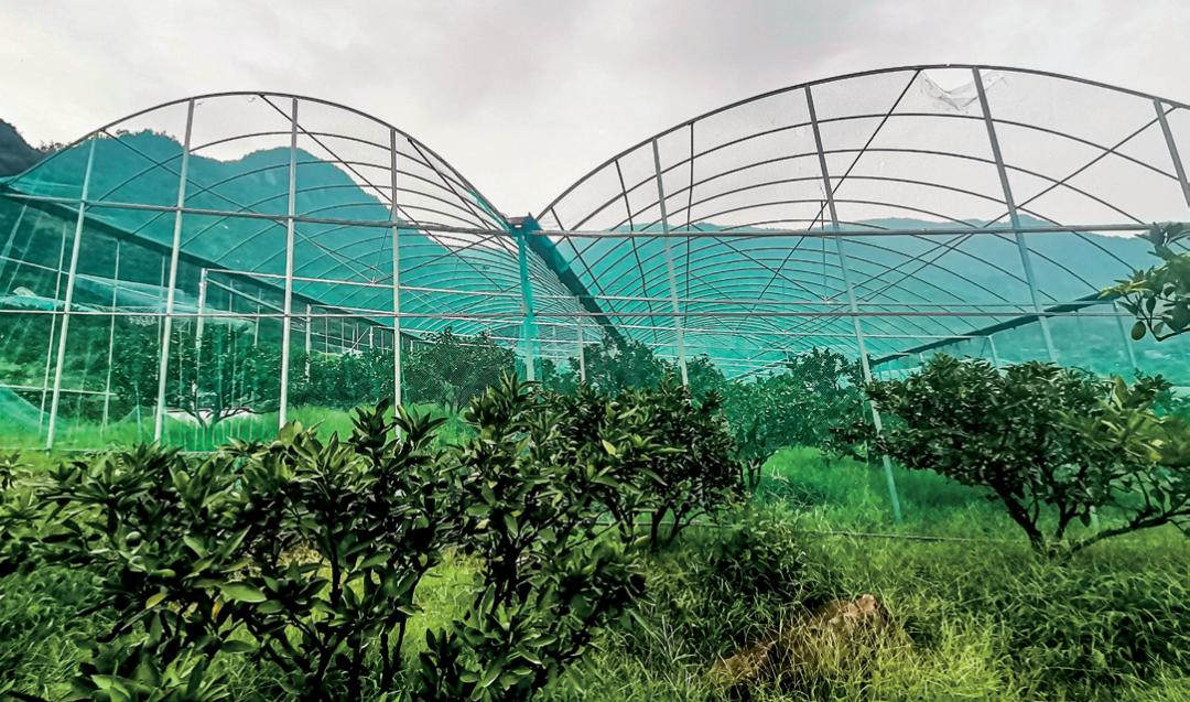 2035浙江规划共同富裕,2022年在浙江共同富裕试点