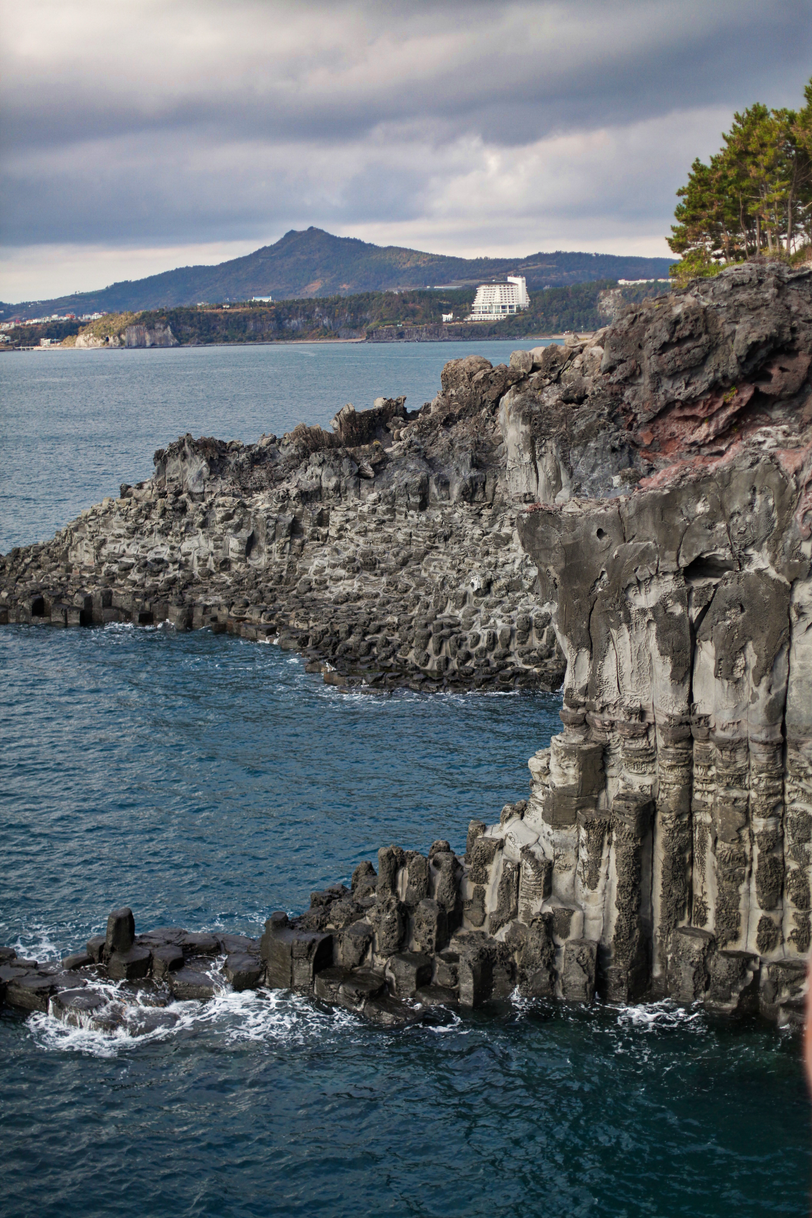 韩国济州岛泰迪熊博物馆最大的熊,济州岛泰迪熊王国