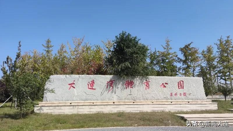 大连赏秋免费的地方,大连赏秋打卡地