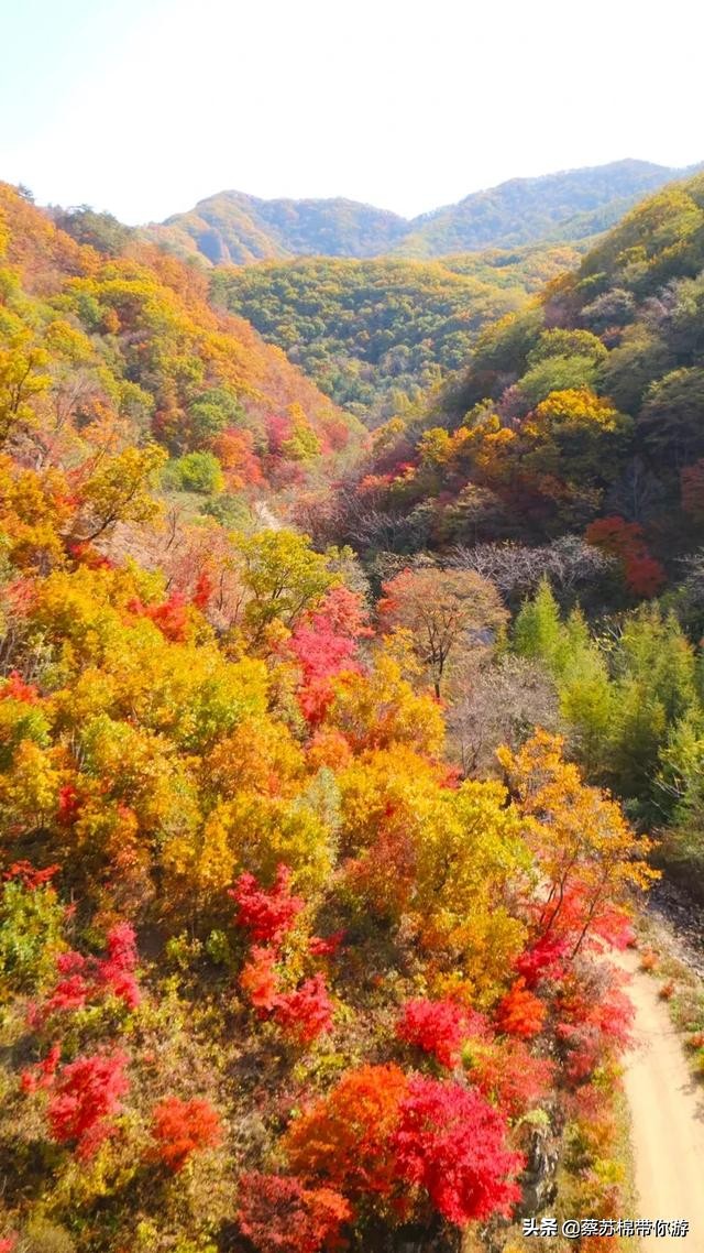 本溪赏枫攻略,本溪赏枫景区