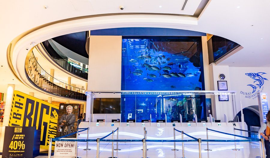 迪拜喷泉旅游攻略,迪拜水族馆游玩攻略