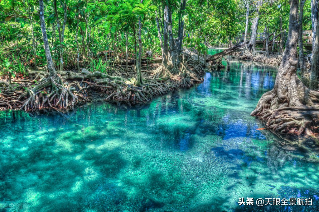 三日游最佳路线广东三日游,广东2-3天旅游攻略三日游