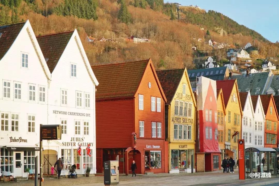 为了吃世界上最好吃的青花鱼，我飞去了挪威，光是捕捞船价值4亿