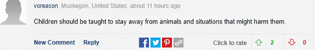 澳洲狂野早教:2岁娃单挑巨蟒,爸爸在一旁指点加油,这?