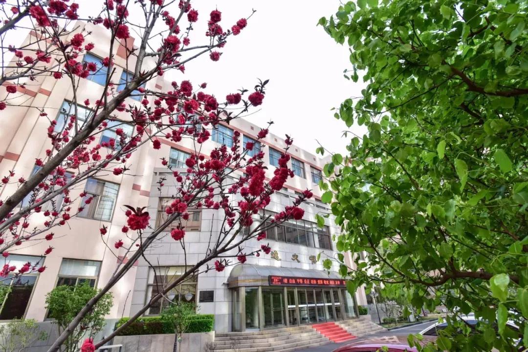 天津公办3+2本科学校有哪些,天津市专升本天津师范大学