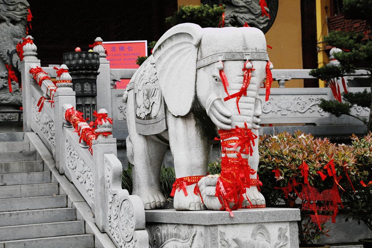 高铁出游度假,高铁出游攻略江浙沪