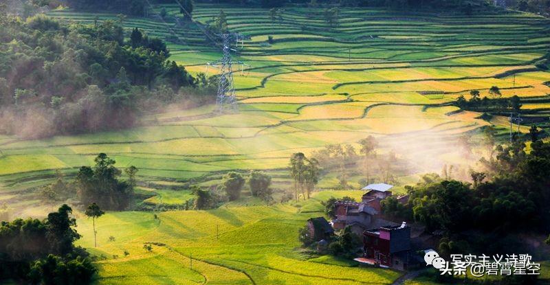 让我坐在一首诗的字里行间，抱紧你银杏树上是发黄的叶片