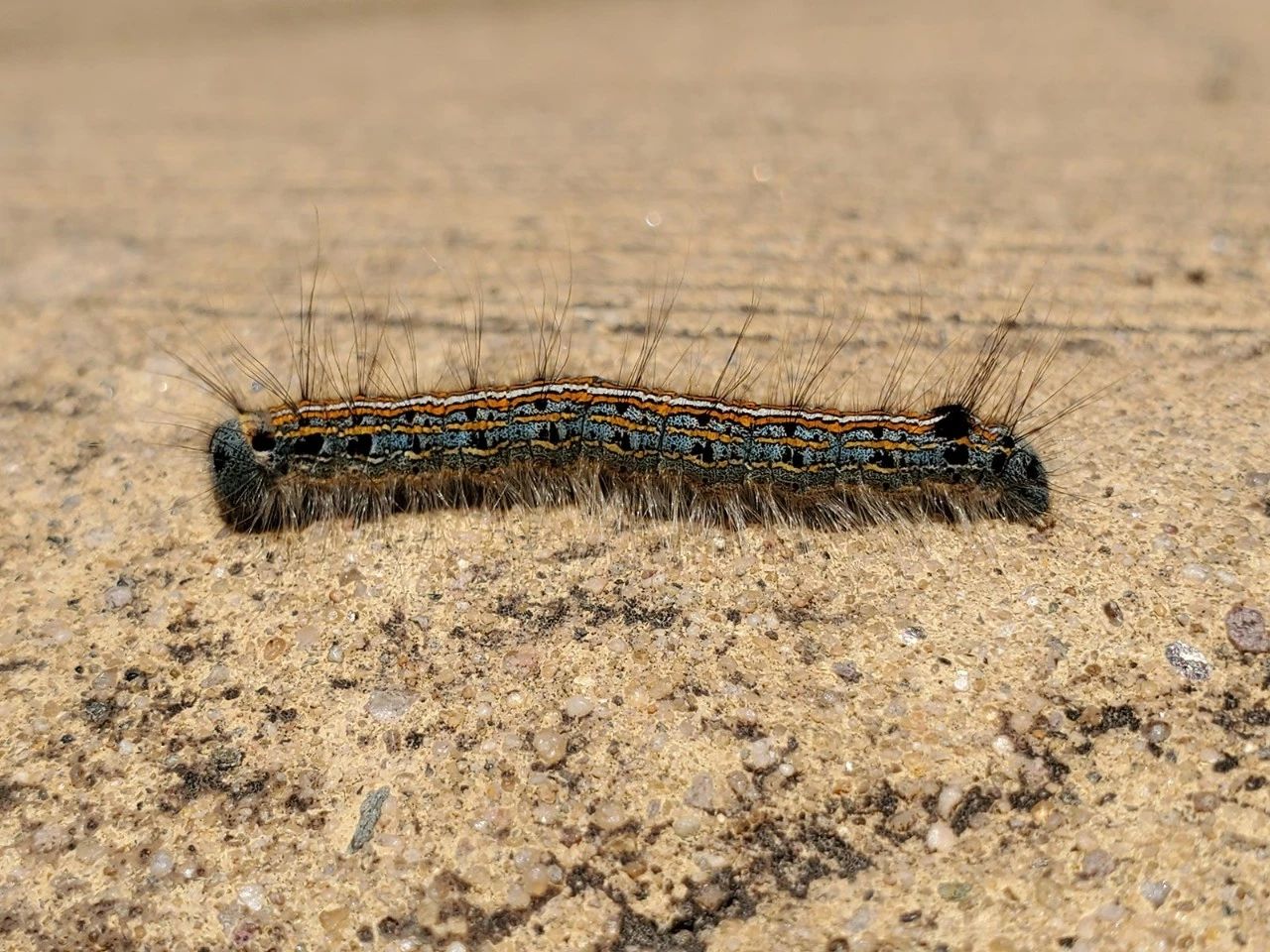 三星s10+港行价格,三星s10+港版与国行外观一样吗