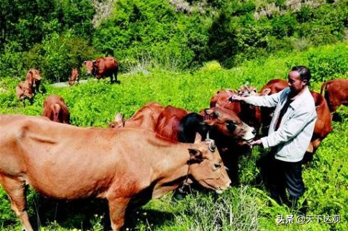 走遍中国湖北郧县,走遍竹山