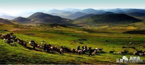 贵州清凉一日游,贵州黔南春季旅游攻略