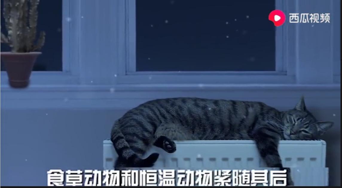 好奇太阳消失后会发生什么？拿好小板凳来西瓜视频听课