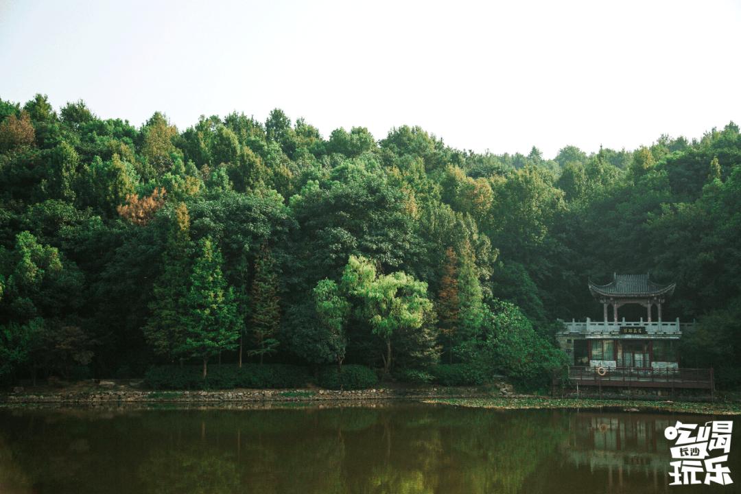 长沙岳麓区适合一个人去的地方,五一长沙岳麓区哪里好玩