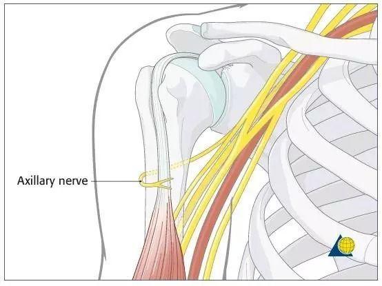 肌肉紧张？手臂发麻？你需要这套简单实用的瑜伽理疗方案
