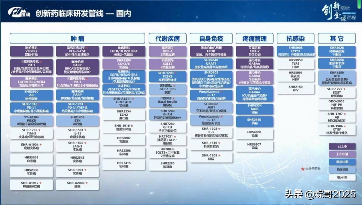 从长远来看恒瑞医药,医药一哥恒瑞医药