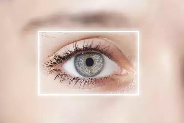 美瞳推荐半年抛良心推荐新手,推荐新手第一次戴的美瞳