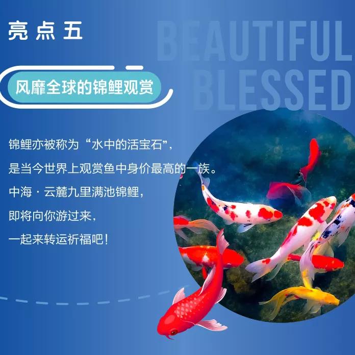 你有一个本周末蛋糕DIY名额待领取，用手作的甜蜜为爱告白吧