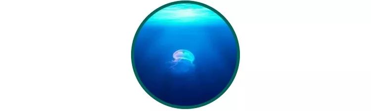 牢记这几个窍门，冬天告别痘痘