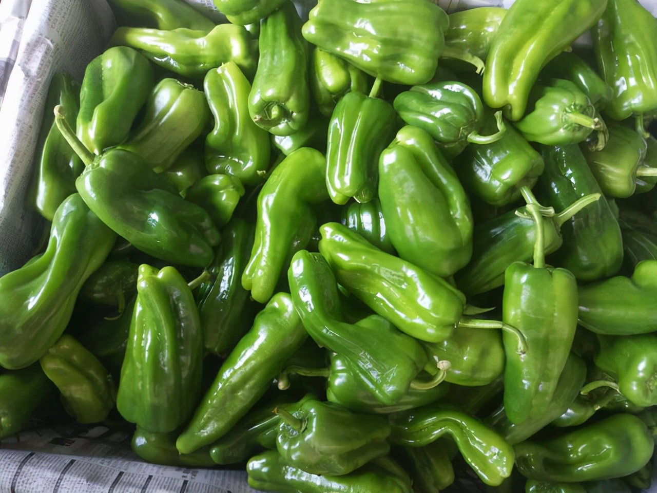 如果吃了很多辣椒如何避免拉肚子,吃完辣椒胃疼拉肚子怎么办