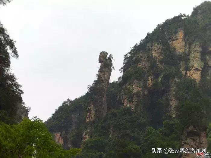 自由行张家界吃住旅游攻略,张家界旅游自由行详细攻略