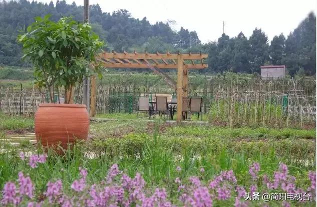 遇见天府雄州|陈新:一道美食映照的修为