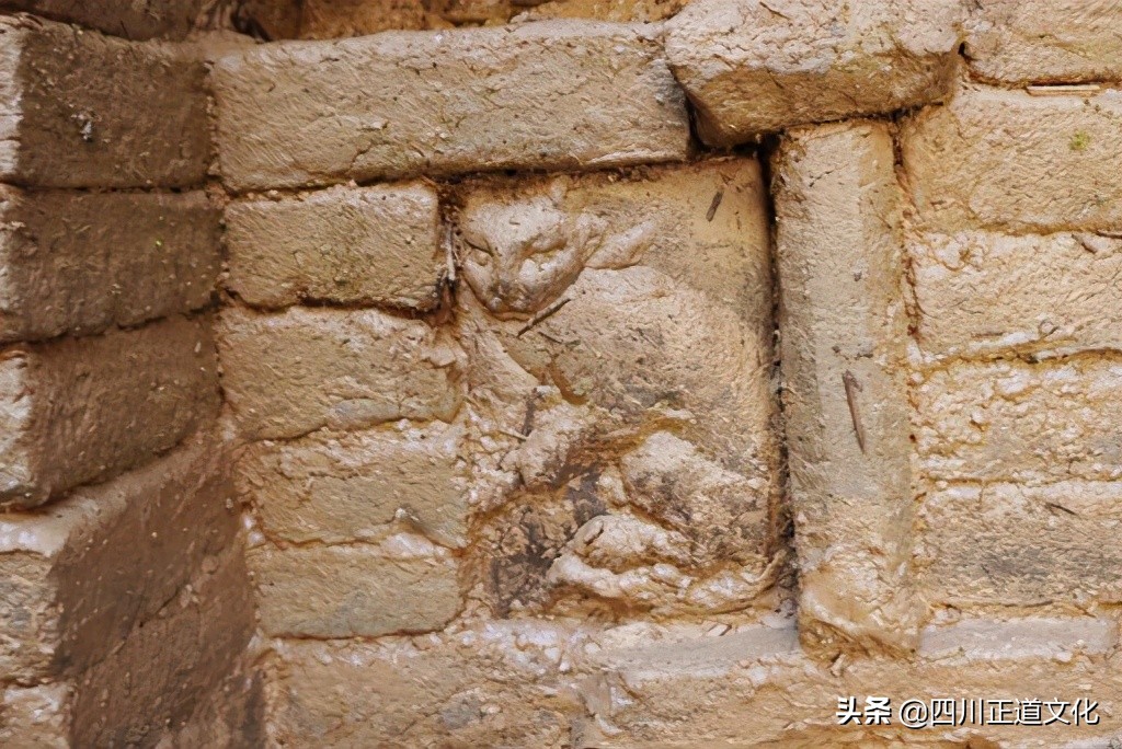 猫的故事高清图片,盘点猫的曾经故事