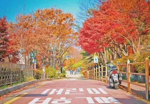 美宝旅行证香港换发攻略,美宝去韩国换旅行证