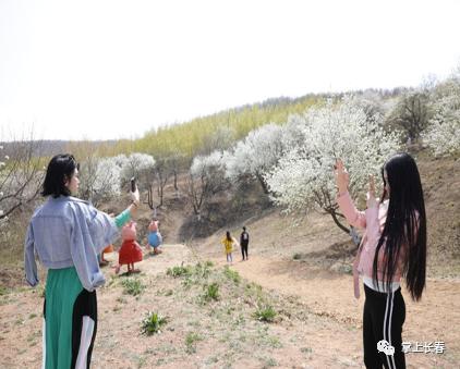 好事成双！拿长春消费券游莲花山，有折扣有套餐！