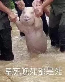 中国奇葩上市公司有哪些,最奇葩的上市公司