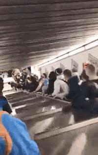 值得收藏的搞笑图,最有趣的gif动图