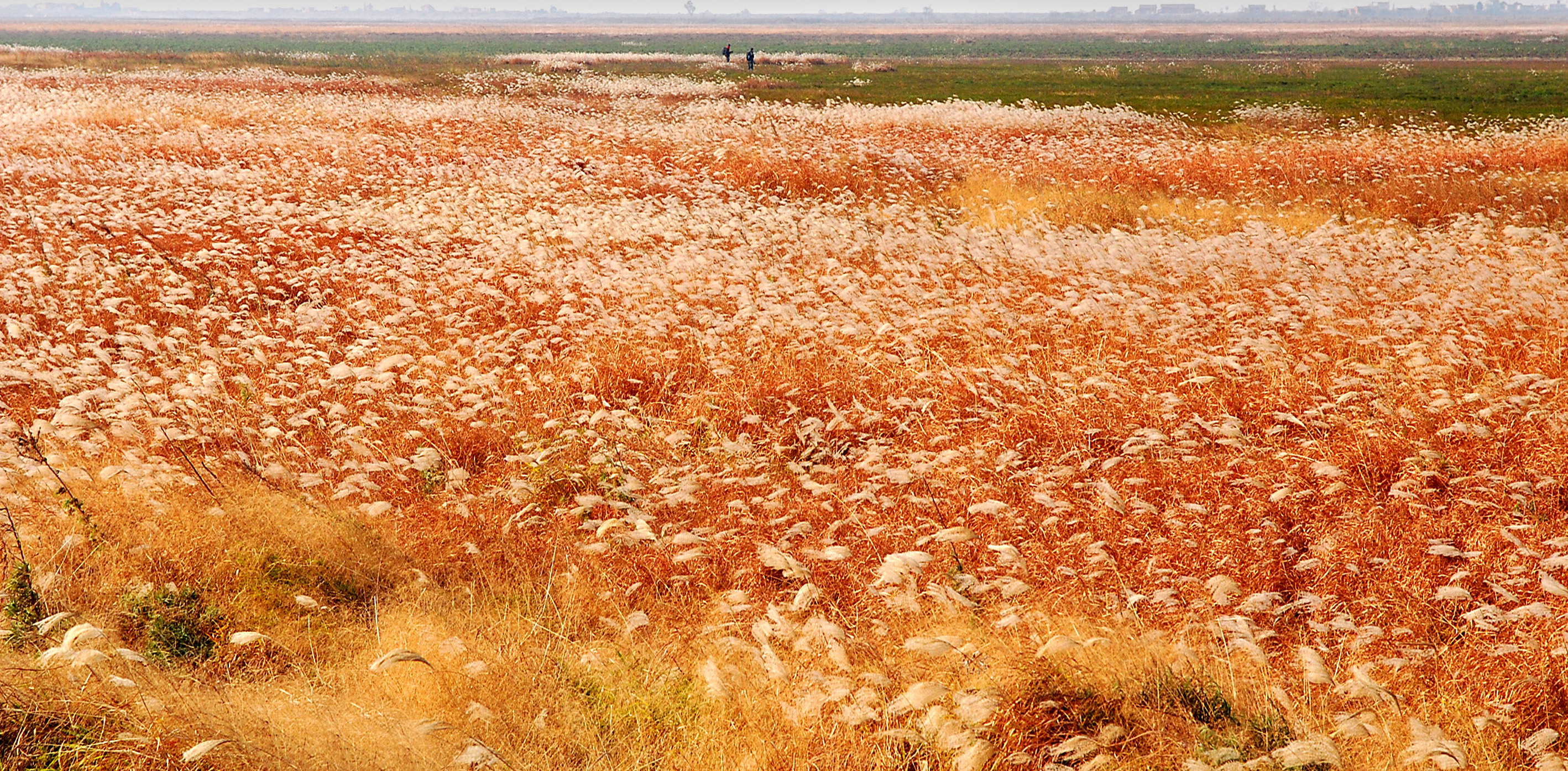鄱阳湖中国最大淡水湖,鄱阳湖最大淡水湖