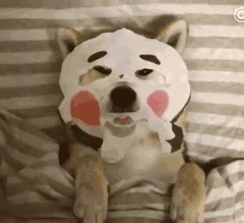 天天敷面膜为什么还长痘,天天敷面膜脸肿了怎么回事