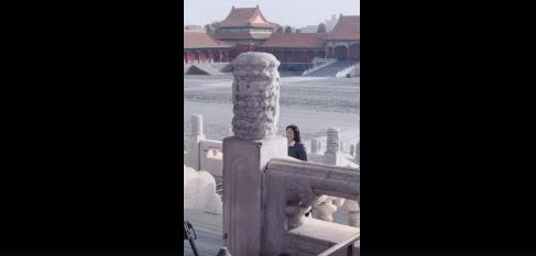 最新神仙综艺节目,2019高分冷门的良心综艺安利