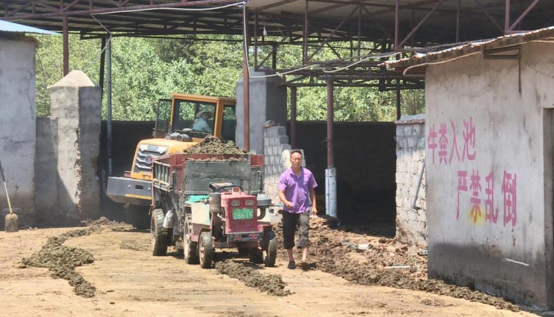 【沿着高速看西昌】高草村：农牧结合循环利用发展绿色生态养殖