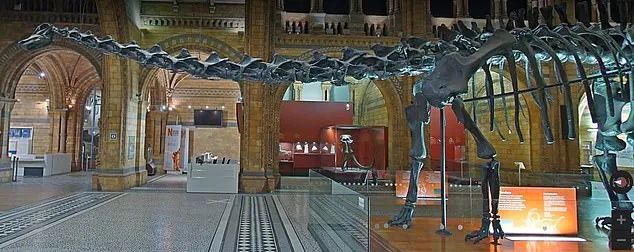 英国收藏贴:禁足居家期间学习/娱乐/防疫/应急联络实用资源汇总