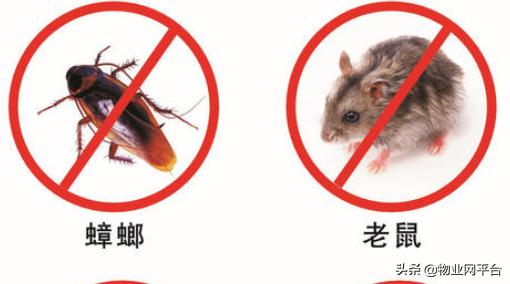 小区除四害一般多少钱,除四害一般都有哪些方法呢