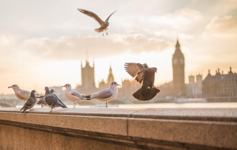 想做产品开发先从什么方面做起,产品规划产品路线图