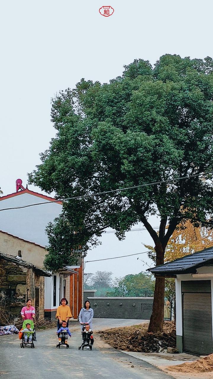 武汉温馨的旅游景点,武汉宝藏旅游胜地免费景点