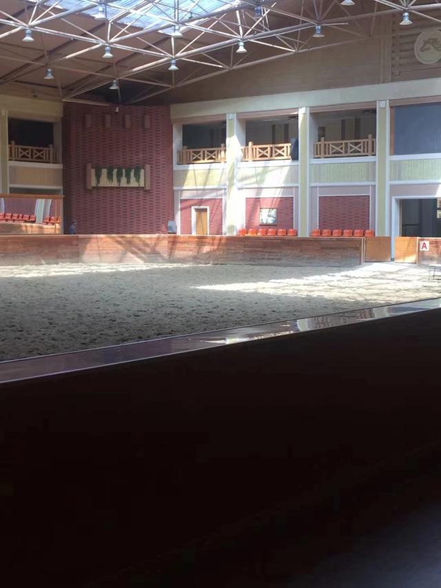 奇妙假期全集视频,奇妙假期意想不到的旅行