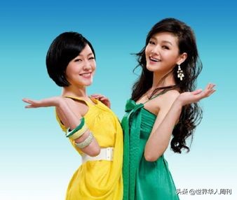 大s离婚原因汪小菲是怎么回应的,大s汪小菲离婚原因最靠谱的分析