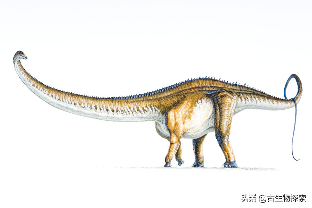 史上最大的超巨型恐龙,最新世界上最大的巨型恐龙