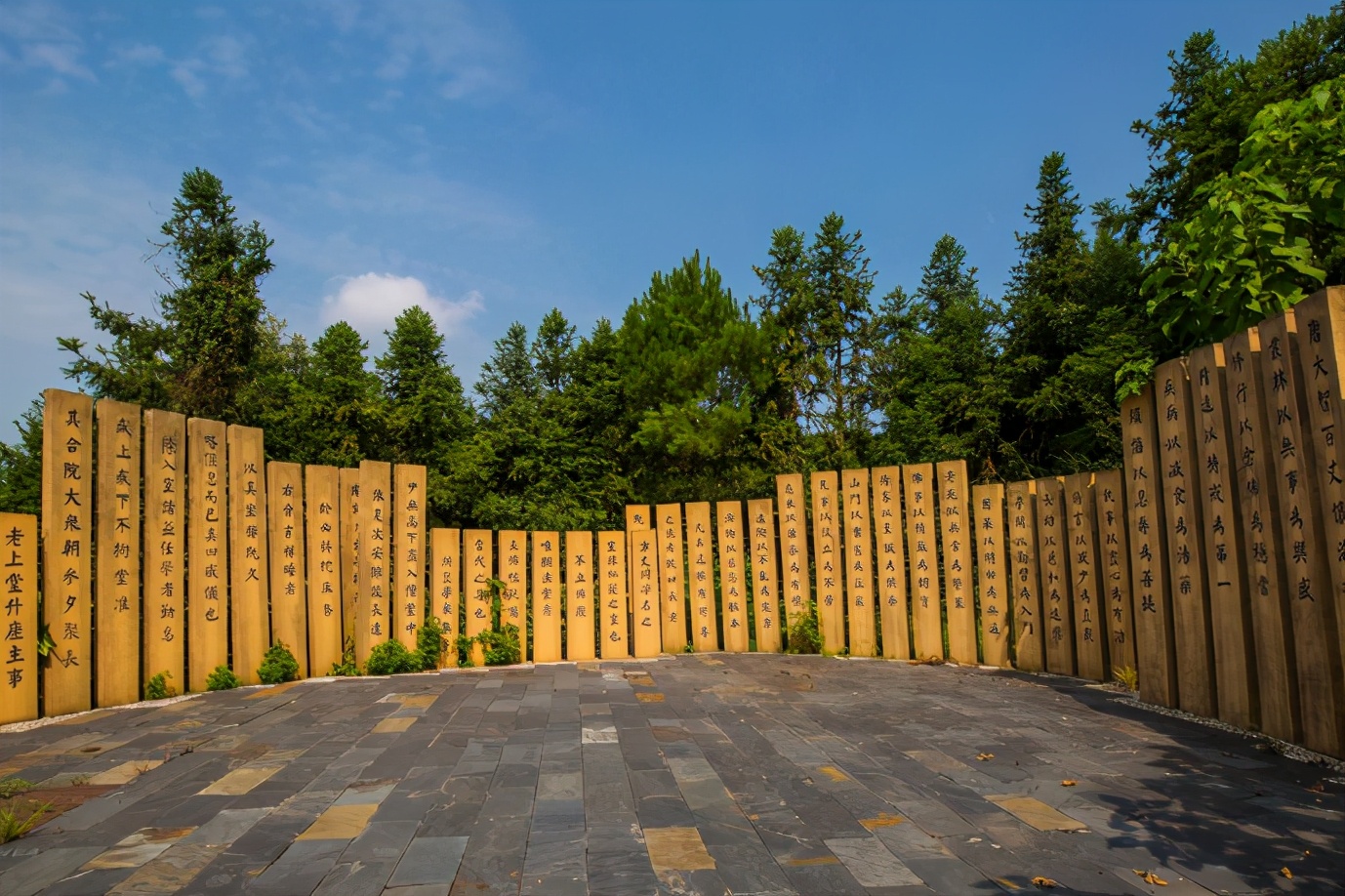 宜春即将建的公园,宜春禅文化公园