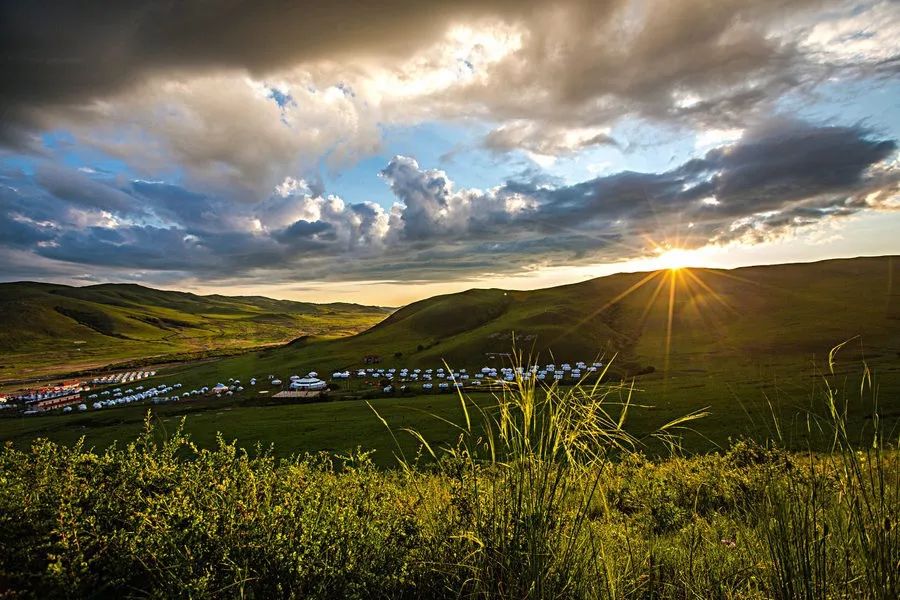 呼伦贝尔大草原醉人的草原,内蒙古呼伦贝尔大草原在哪个位置