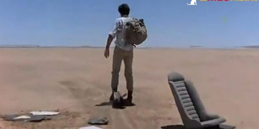 你们吃的野味蜜獾，居然是称霸非洲的平头哥