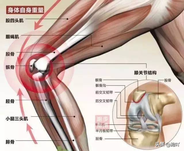预防膝盖损伤的运动,保护膝盖跑步的正确跑姿与方法
